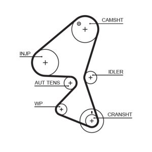 Curea de distributie GATES 5598XS – PEOUGET | AutoRival