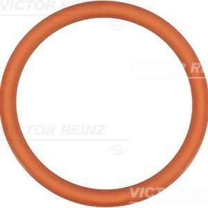Garnitura galerie admisie VICTOR REINZ 71-35247-00 – PEOUGET | AutoRival