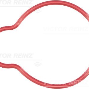 Garnitura galerie admisie VICTOR REINZ 71-35728-00 – PEOUGET | AutoRival