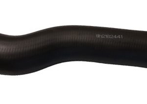 Furtun aer supraalimentare BUGIAD 82441 – PEOUGET | AutoRival
