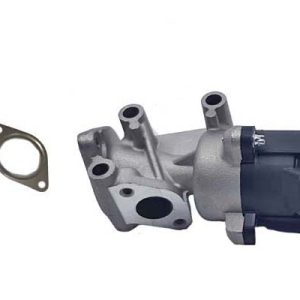 Supapa EGR BUGIAD BGR13066 – PEOUGET | AutoRival