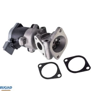 Supapa EGR BUGIAD BGR13077 – PEOUGET | AutoRival