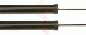 Amortizor TRW JGT465T – PEOUGET | AutoRival