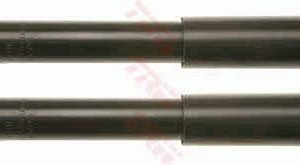 Amortizor TRW JGT573T – PEOUGET | AutoRival