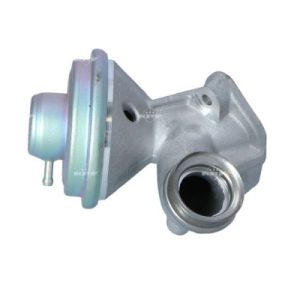 Supapa EGR NRF 48391