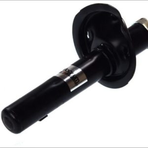 Amortizor MAGNUM TECHNOLOGY AHP016MT – PEOUGET | AutoRival