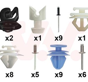 Set montaj usa VAN WEZEL 4028799 – PEOUGET | AutoRival