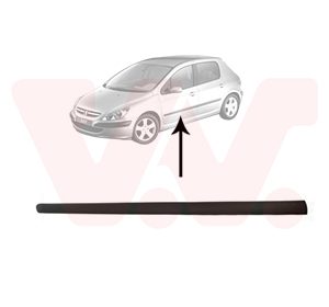 Elemente decorative / protectie portiera VAN WEZEL 4040403 – PEOUGET | AutoRival