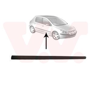 Elemente decorative / protectie portiera VAN WEZEL 4040404 – PEOUGET | AutoRival