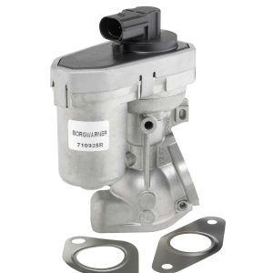 Supapa EGR BORGWARNER 710925R – PEOUGET | AutoRival