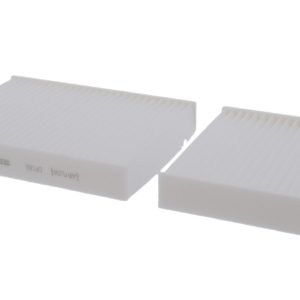 Filtru aer habitaclu CORTECO 80000666