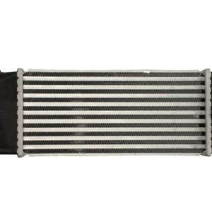 Intercooler compresor THERMOTEC DAC016TT – PEOUGET | AutoRival