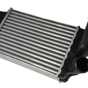 Intercooler compresor THERMOTEC DAF001TT – PEOUGET | AutoRival