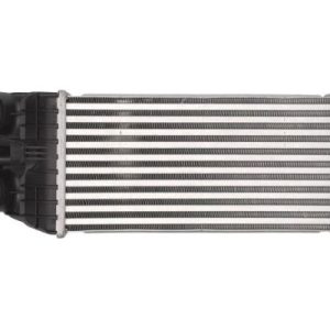 Intercooler compresor THERMOTEC DAP003TT – PEOUGET | AutoRival