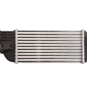 Intercooler compresor THERMOTEC DAP005TT – PEOUGET | AutoRival