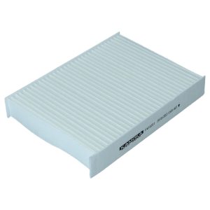 Filtru aer habitaclu KAMOKA F419201
