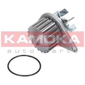 Pompa de apa KAMOKA T0078