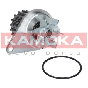 Pompa de apa KAMOKA T0089 – PEOUGET | AutoRival