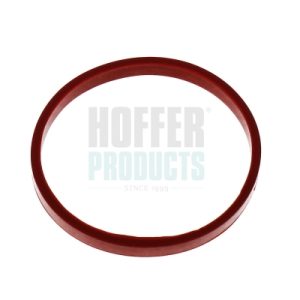 Garnitura galerie admisie HOFFER 016244 – PEOUGET | AutoRival