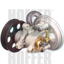 Pompa vacuum sistem de franare HOFFER 8091081 – PEOUGET | AutoRival