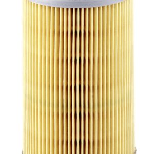 Filtru combustibil MANN-FILTER P 725 x – PEOUGET | AutoRival