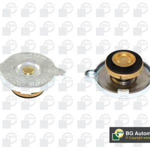 Buson vas expansiune BGA CC3041 – PEOUGET | AutoRival