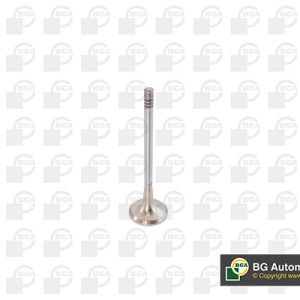 Supapa evacuare BGA V142050 – PEOUGET | AutoRival
