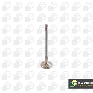 Supapa evacuare BGA V232016 – PEOUGET | AutoRival