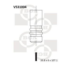 Supapa evacuare BGA V531004 – PEOUGET | AutoRival