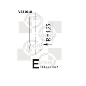 Supapa admisie BGA V531010 – PEOUGET | AutoRival