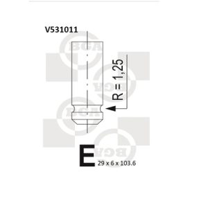 Supapa evacuare BGA V531011 – PEOUGET | AutoRival