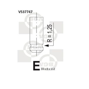 Supapa evacuare BGA V537747 – PEOUGET | AutoRival