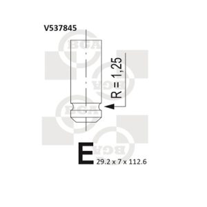 Supapa evacuare BGA V537845 – PEOUGET | AutoRival