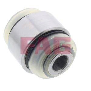 Pivot FAG 825 0248 10 – PEOUGET | AutoRival