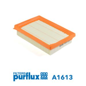 Filtru aer PURFLUX A1613 – PEOUGET | AutoRival