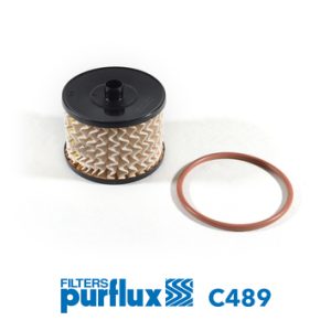 Filtru combustibil PURFLUX C489 – PEOUGET | AutoRival