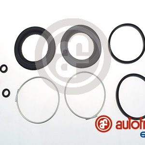 Set reparatie etrier AUTOFREN SEINSA D4087 – PEOUGET | AutoRival