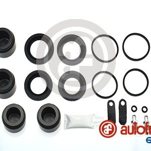 Set reparatie etrier AUTOFREN SEINSA D42148C – PEOUGET | AutoRival