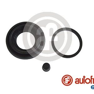 Set reparatie etrier AUTOFREN SEINSA D4534 – PEOUGET | AutoRival