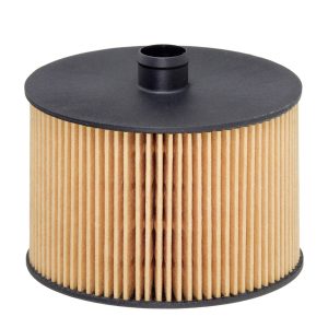 Filtru combustibil HENGST FILTER E79KP D118 – PEOUGET | AutoRival
