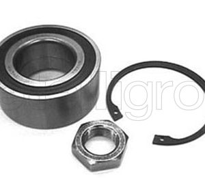 Set rulment roata METELLI 19-2129 – PEOUGET | AutoRival