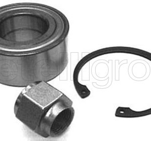 Set rulment roata METELLI 19-2165 – PEOUGET | AutoRival
