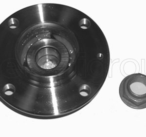 Set rulment roata METELLI 19-2444 – PEOUGET | AutoRival