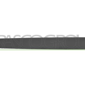 Elemente decorative / protectie portiera PRASCO CI9181403 – PEOUGET | AutoRival
