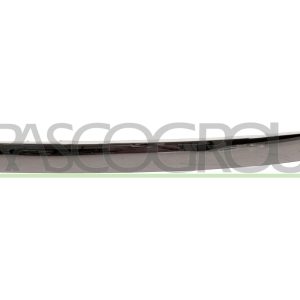 Banda de protectie grila radiator PRASCO PG2022216 – PEOUGET | AutoRival
