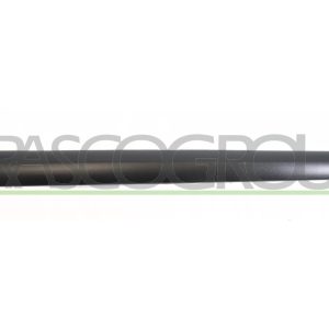 Elemente decorative / protectie portiera PRASCO PG3201454 – PEOUGET | AutoRival