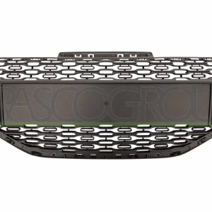 Grila radiator PRASCO PG3262001 – PEOUGET | AutoRival