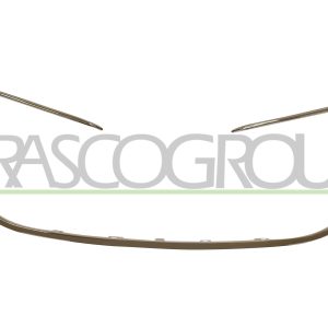 Grila radiator PRASCO PG5302305 – PEOUGET | AutoRival