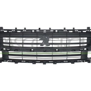 Grila radiator PRASCO PG9122001 – PEOUGET | AutoRival