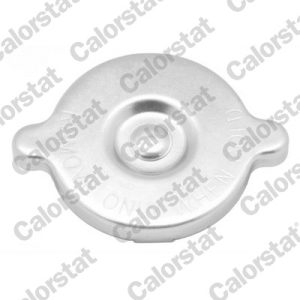 Buson radiator CALORSTAT BY VERNET RC0053 – PEOUGET | AutoRival